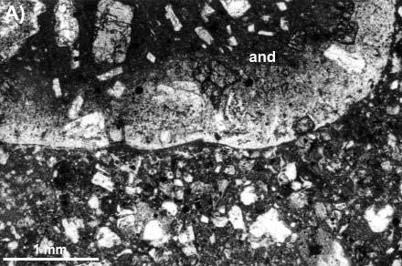 A piroxénandezit szemcsék mellett a laza molassz üledékekből és az alaphegységi aljzatból származó litikus alkotók is nagy mennyiségben fordulnak elő (pl.