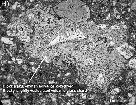 B) Slightly vesiculated blocky volcanic glass shard with significant amount of microlite lódtak, ellapultak; méretük 25 100 µm közötti.