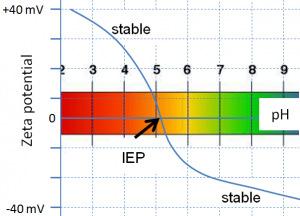 Surface charge and isoelectric point (IEP) of plasma albumin