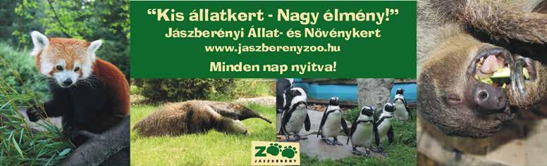 bontás, tereprendezés, sávlpásás MINDENNEMÛ FÖLDMUNK A H-Kos Szolgálttó Kft Kerepes, Szbdság út 77 Ny: H-P: 7-17, Szo: 8-12 pld-bn területén 35000 MEZŐGA ZDASÁGI GÉPEK: - Krtl - Ikld döngölők,