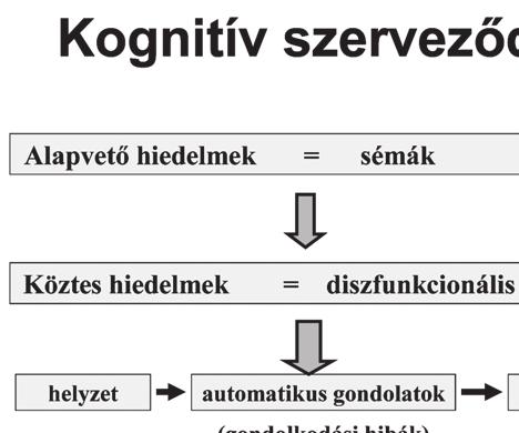 HONVÉDORVOS 156 2010. (62) 3-4. szám 3. ábra: Kognitív szerveződés vezet.