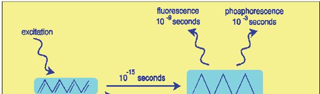 Fluoreszcencia gerjesztési (emisszió 340 nm-nél) ok Fluoreszcencia emissziós (gerjesztés 295 nm-nél) Foszforeszcencia emissziós (gerjesztés 295 nm-nél) Sávos színkép