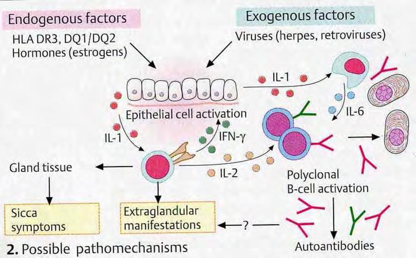 Patogenesis -