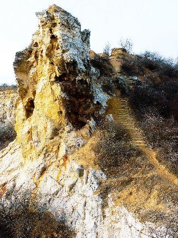 Róka-hegy természetvédelmi terület Ibolya utca Rózsa utca Ürömi út által határolt terület Védetté nyilvánítás éve: 1977 Státusa: Fővárosi védelem alatt áll Területe: 20 ha Látogathatósága: Szabadon