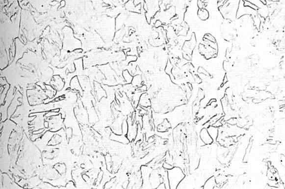 C 6, N:500x Hőkezelés 1000 C-on 20 perc