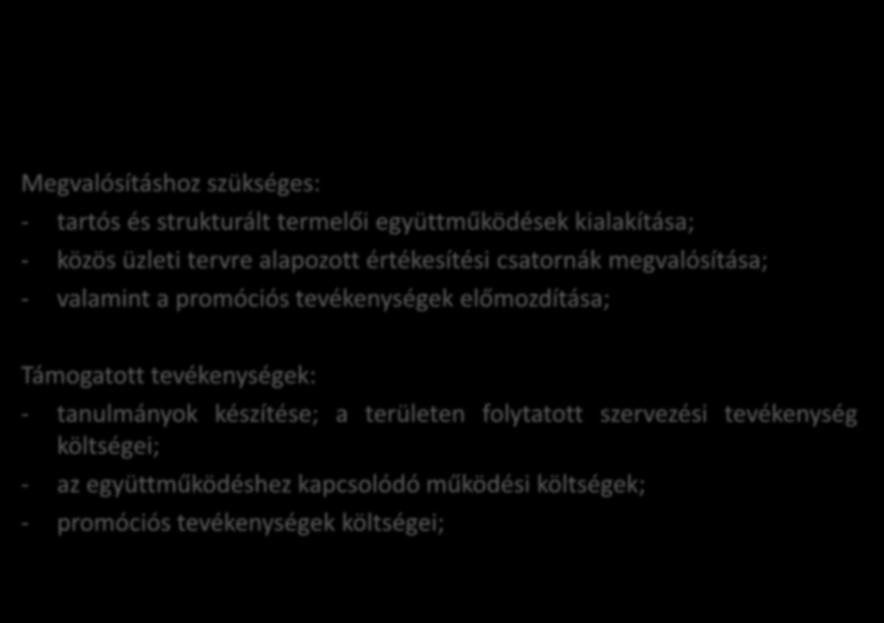 alapozott értékesítési csatornák megvalósítása; - valamint a promóciós tevékenységek előmozdítása; Támogatott tevékenységek: - tanulmányok