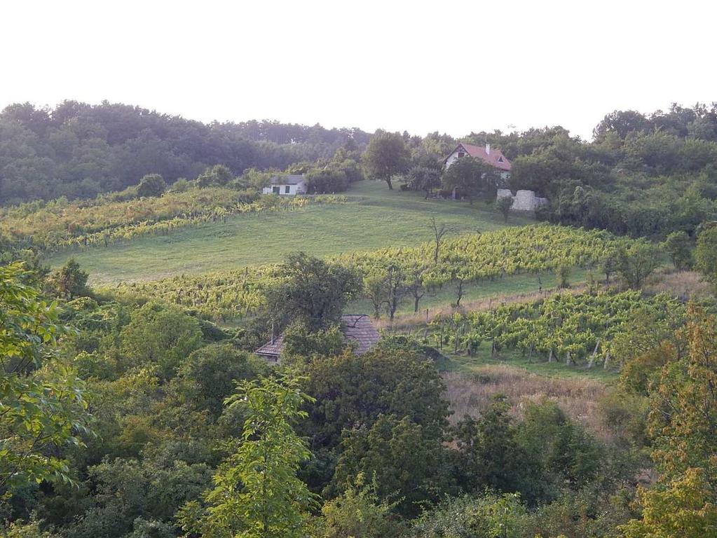 történik, az ellenőrzés időpontja előre egyezetett időpontban, az