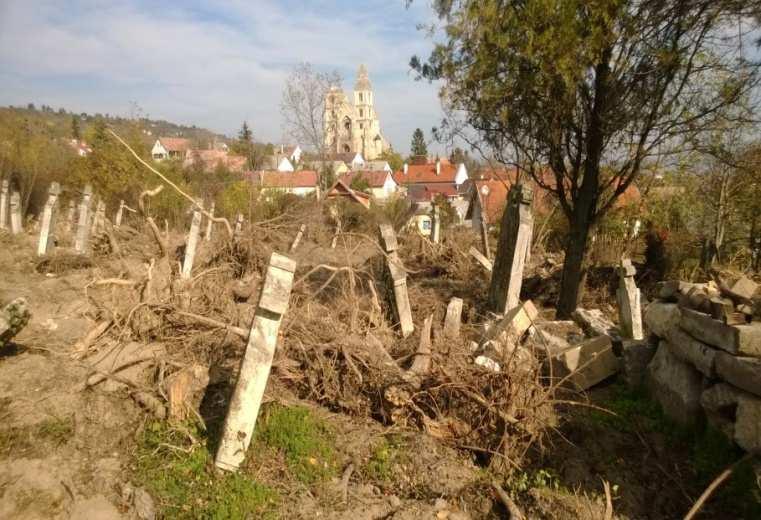 iskolás korosztályra a fajták megőrzését és bemutatását, beszámoló