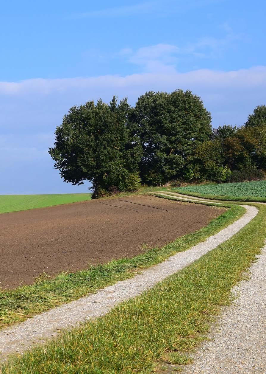 Hogyan szerezheti vissza hazánk önrendelkezését a