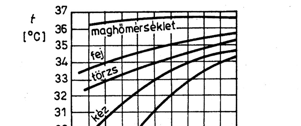 A test és bőrhőmérséklet összefüggése a levegő-hőmérséklettel Bőrhőmérsékletek értékei