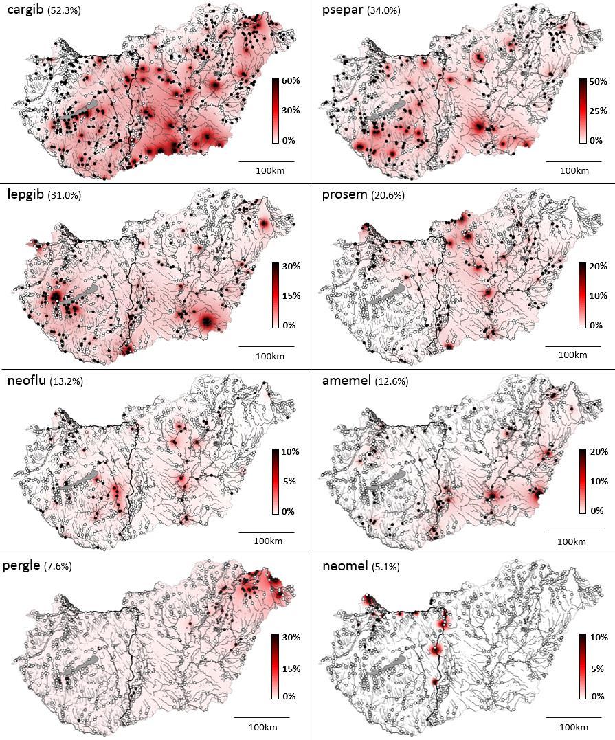 Takács et al. 6. ábra. A nyolc leggyakoribb idegenhonos halfaj interpolált relatív abundancia értékei. Fekete pontok: a mintahelyről került elő idegenhonos faj.