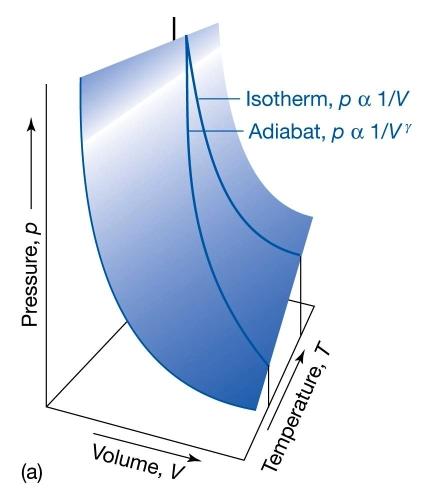 3. ábra: az izoterm és az adiabatikus reverzíbilis kiterjedés összehasonlítása 4. A termodinamika második főtétele