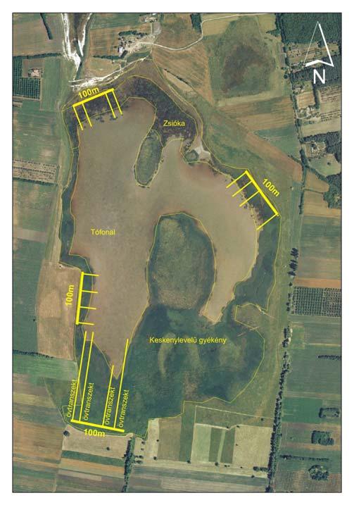 MT Ökológiai Kutatóközpont 4. kép. szükséges számú mintavételi transzszektek kijelölése állóvizek mentén.