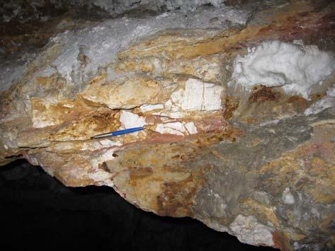 KVARC Kvarcot a barlang alját vastagon borító agyagrétegből mutattunk ki.