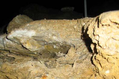 4. Szilikátok KAOLINIT-CSOPORT A barlangban agyagásvány