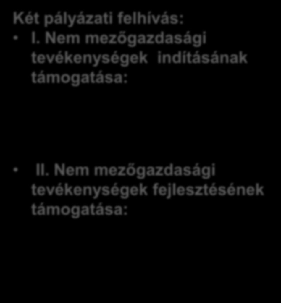 Nem mezőgazdasági tevékenységek indításának (I.) és fejlesztésének (II.) támogatása : Az I. felhívás megjelenése: 2016. augusztus 25.