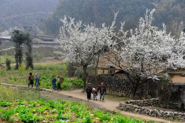 Kora délután a Pac Bo Grotte van terítéken, ahova Ho Chi Minh 1941 februárjában visszatért 30 év távollét után. Innen indult az országot a Japán uralom alól felszabadító mozgalom.