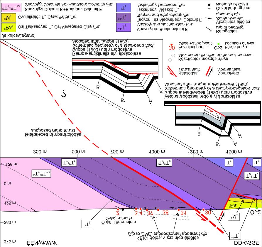 Földtani Közlöny 146/4 (2016) 363 9. ábra. Szelvény Öskü területén belül, amely a két Buchensteini képződménysávot és a köztes dolomittestet mutatja.