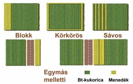 com/scitable/knowledge/library/use-and-impact-of-bt-maize-46975413) Megoldási javaslatok a 20 %-os menedék biztosítására terület vegyszerterhelése nem csökken, hanem nő.