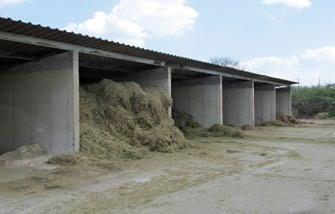 A termelő állományban egyféle TMR-t kap minden termelési csoport. 6 db csoport lett kialakítva. 1. Első borjas fogadó, 2.