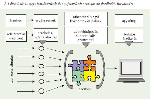 A képzeletbeli agyi hardverünk és