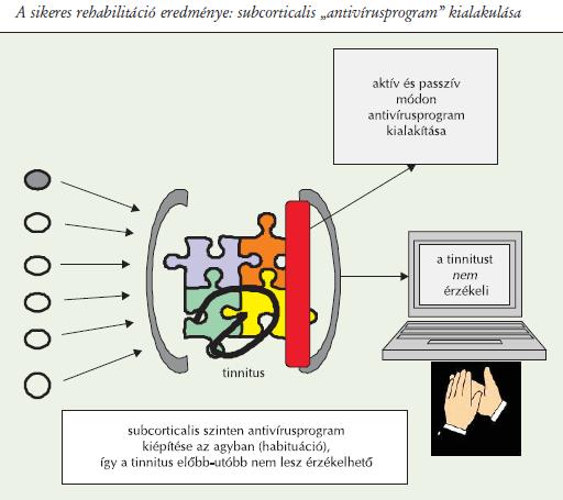 Habituáció: subcorticalis