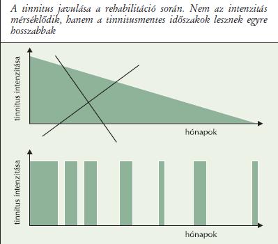 Csökken a tinnitusos periódusok száma Növekszik a tinnitusos periódusok közötti időtartam hossza Javul az