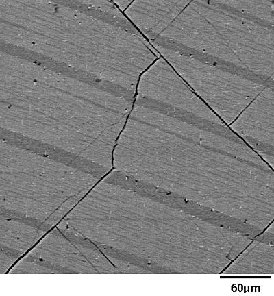 Visszaszórt elektron felvételek (Backscattered Electron Imaging, BSEI) BSE felvételek tónusa a gerjesztett anyag átlagos