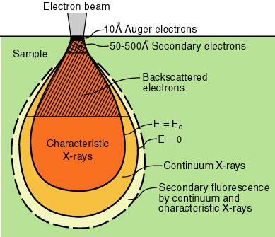 Gerjesztési körte: Különböző elektronok keletkezése és a mintával való térfogati kölcsönhatása (torzított ábra) elektronsugár átmérő: ~1 mikrométer A minta és az elektronsugár