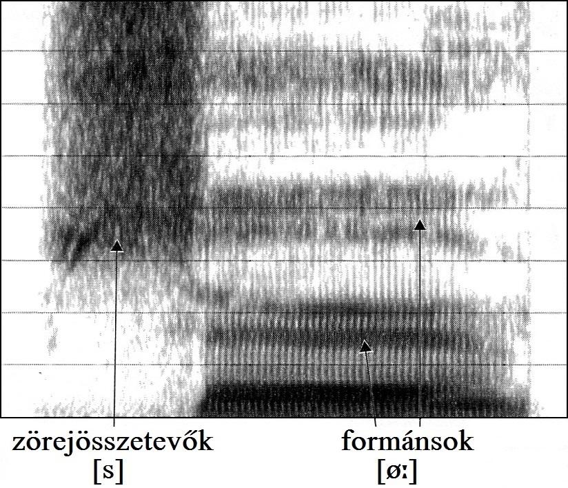 vetően turbulens zörejből álló rezgéseket mutat (lásd a 2. ábra bal oldalán), míg a szonoránsok a magánhangzók (lásd a 2.