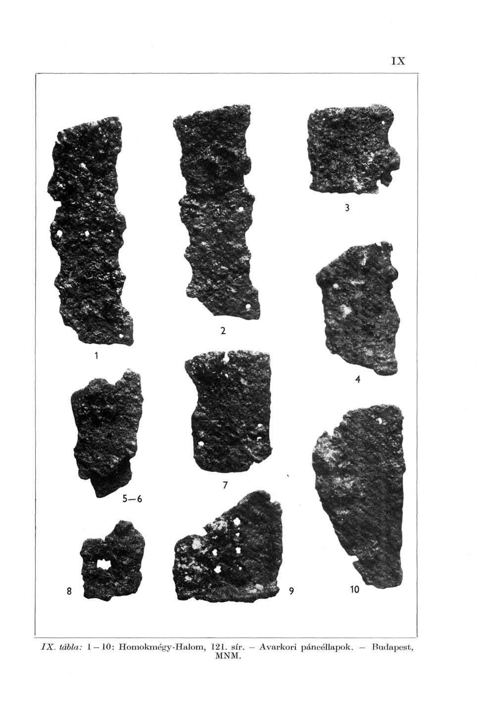 IX. tábla: 1 10: Homokmégy-Halom, 121.