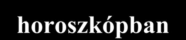 Életerő vizsgálati szempontjai a Nap szerepe Hold szerepe Asc szerepe horoszkópban Bolygók méltóságban