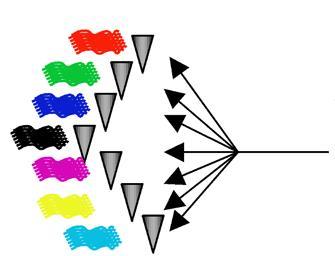 Using Ion Channel Compositions