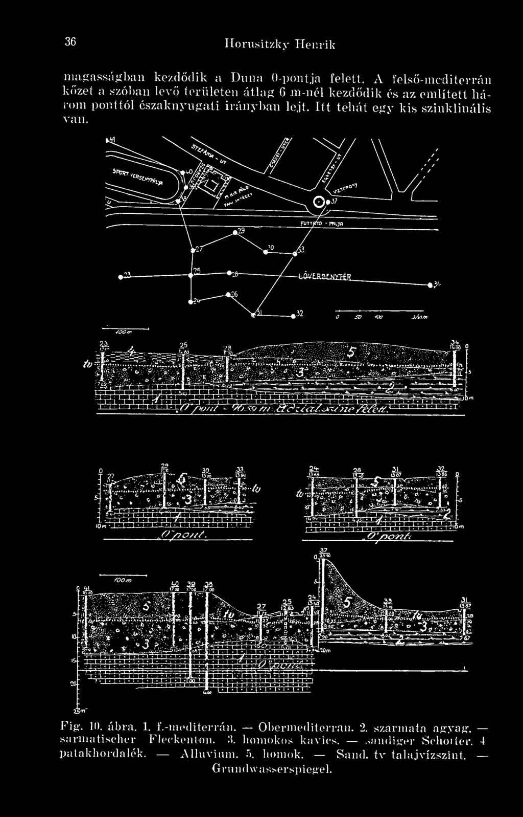 irányban lejt. Itt tehát egy kis szinklinális van. * 0/70//. 2V Fig. 10. ábra. 1. f.-mediterrán. Obermediterran.