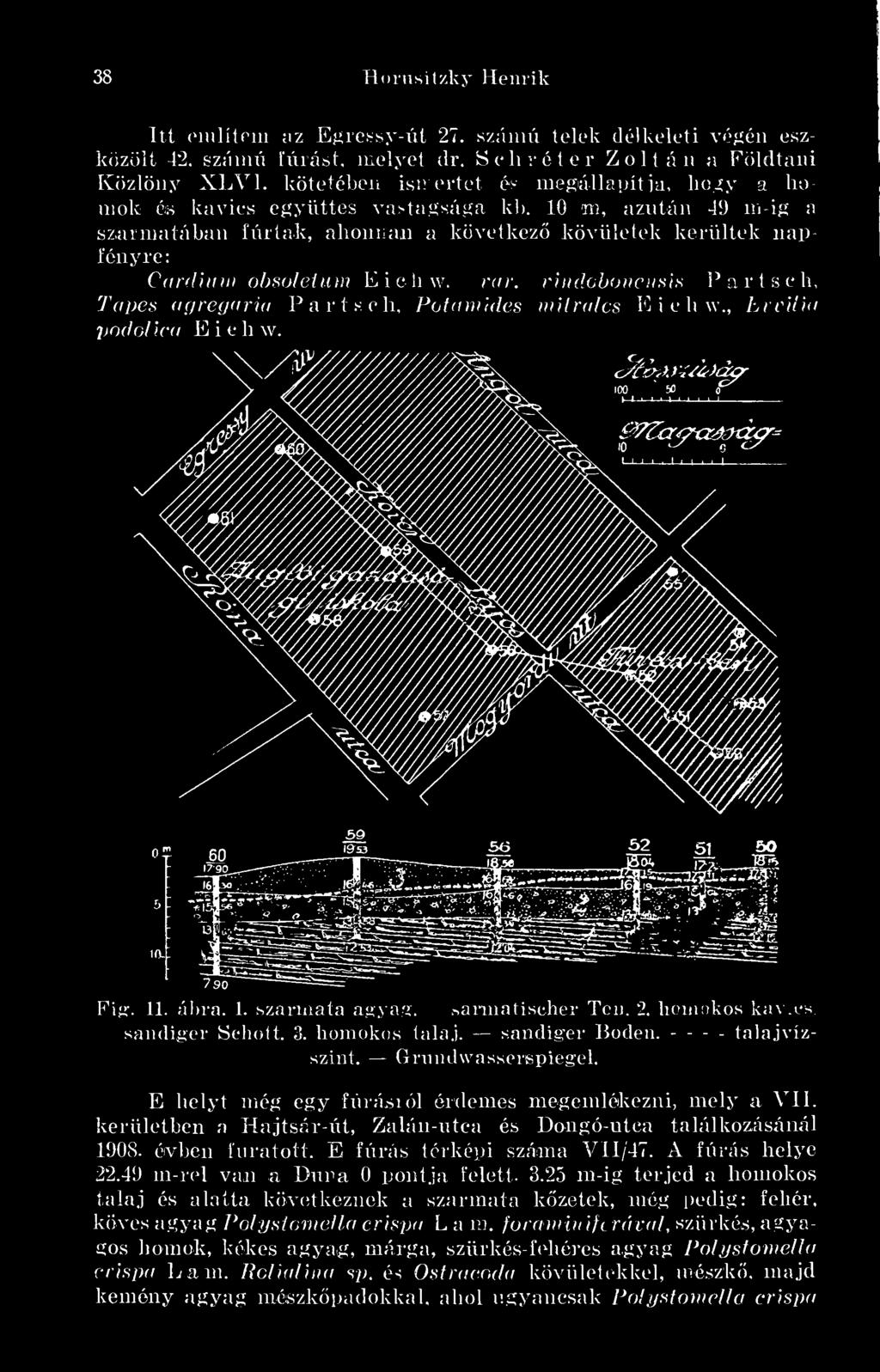 10 m, azután 49 in-ig a szarmatában fúrtak, ahonnan a következ kövületek kerültek nap fényre: Cardium obsoletum Eichw. var. vindobonensis Parts eh, Tapes agregaria Parts eh, Potamides mürales Eichw.