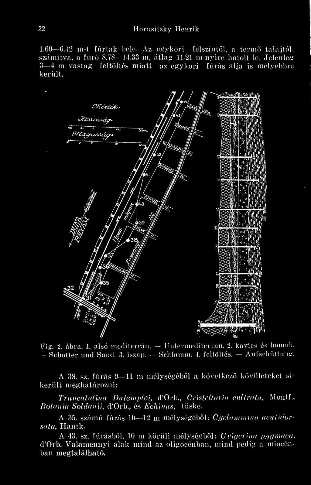 , Cristellaria cullrata, Monti., Rotania Soldanü, d'orb., és Echinus, tüske. A 35.