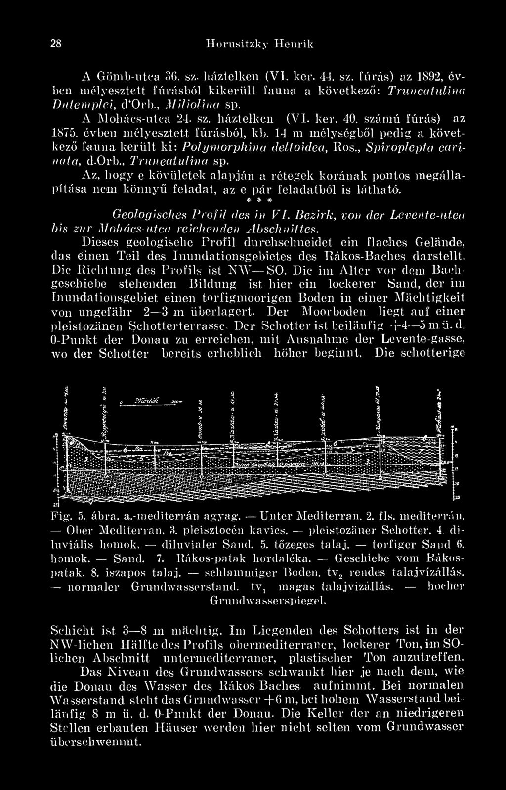 , Spiroplepta carinata, d.orb., Truncalulina sp. Az, hogy e kövületek alapján a rétegek korának pontos megállapítása nem könny feladat, az e pár feladatból is látható.