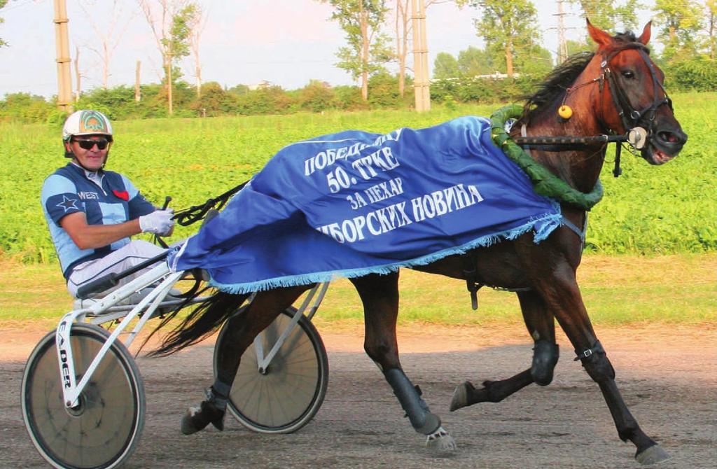 U prvom kolu lako je izašao na kraj sa kvalifikantom B. Wojnar-om 6/1 6/1, u drugom kolu predao mu je C. Silva nakon vođstva Peper- Gavin Van Peperzeel zeel-a 2/0.