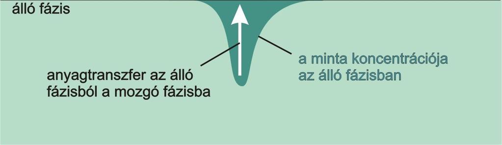 közvetlen kapcsolatban van a két fázis közötti megoszlási folyamat termodinamikájával.