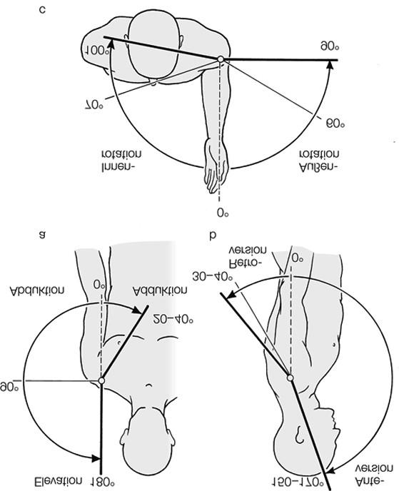 Articulatio humeri Articulatio sphaeroidea 1. anteflexio retroflexio 2.