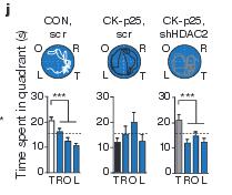 An epigenetic blockade of cognitive functions in the neurodegenerating brain Nature 483, 222 226 (08 March 2012) doi:10.