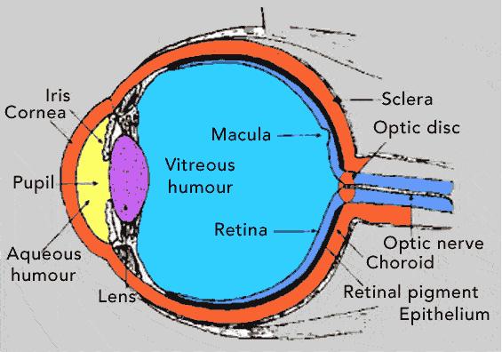 Szemábra (Eye Diagram)