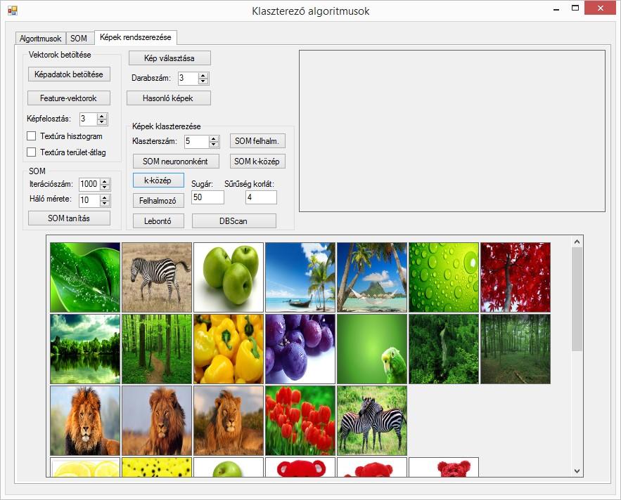 4.1.17 ábra Klaszterezés eredménye 4.2 Megvalósítás A demóprogramot C# nyelven, a.
