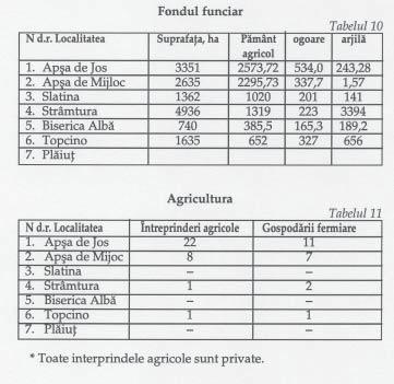 200 201 COMERÞUL Comerþul în satele româneºti se caracterizeazã prin prãbuºirea reþelelor de tip socialist ce