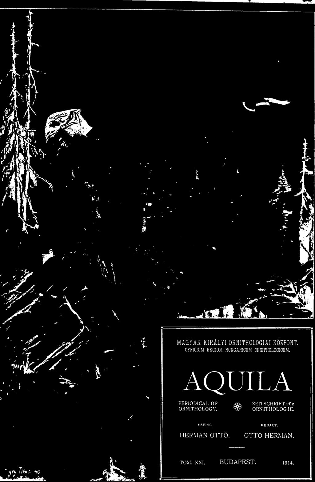 :\QUILA J- PERIODICAL OF ORNITHOLOGY.