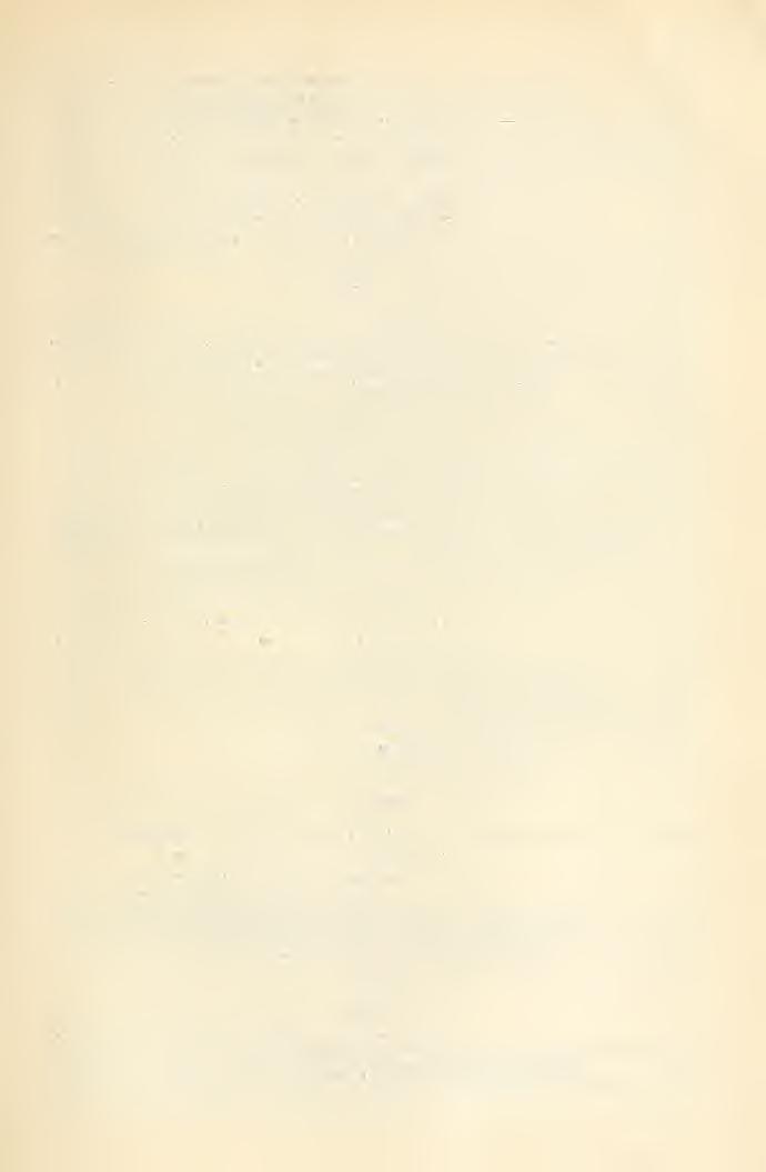 285 32. Klagenfurt: Natiirliist. I.aiulesMusoiim voii Kiiniteii :.Jahrbuch. Caiintliia, III. 1!M3. 33., Waidniannsheil. XXXÍV. 1914. 34. Krakau: K. Akad. d. Wissenschaften: Sprowadzenie.