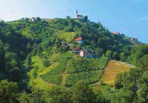 V bukovem gozdu Del znamenitih fresk v cerkvi svetega Martina Cerkev svetega Martina Zgodovina cerkve svetega Martina se začne v 12. stoletju z gradnjo prve cerkve.