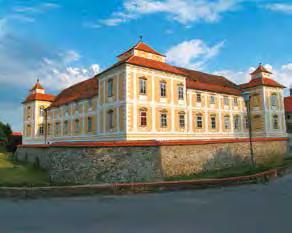 Slovenska Bistrica (nemško: Windischfeistritz) je nastala v 13. stoletju ob stičišču pomembnih trgovskih poti. Mesto je zgrajeno na ostankih rimskega naselja Civitas Nagotiana.