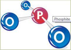 Foszforossav (H 3 PO 3 ) K 2 HPO 4 A