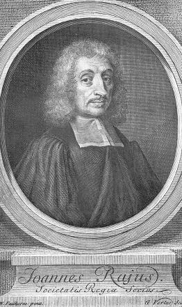 J. Ray (1627-1705) Historia plantarum Scala naturae benne megjelennek: egyszikűek, kétszikűek.